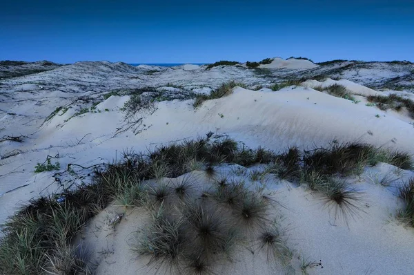 Moonlit Dunes Vietnam Asia — Stock Photo, Image