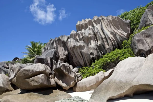 Samotny Plaży Grand Anse Typowym Granitowe Skały Digue Digue Island — Zdjęcie stockowe