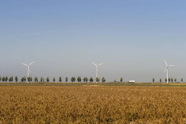 Ekologické Generátory Větrné Turbíny — Stock fotografie
