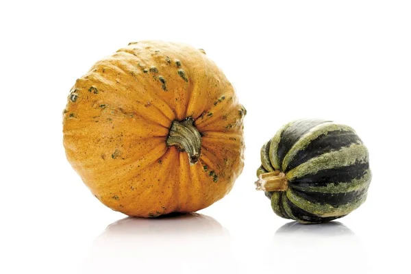 Citrouilles Courges Moelles Cucurbita — Photo