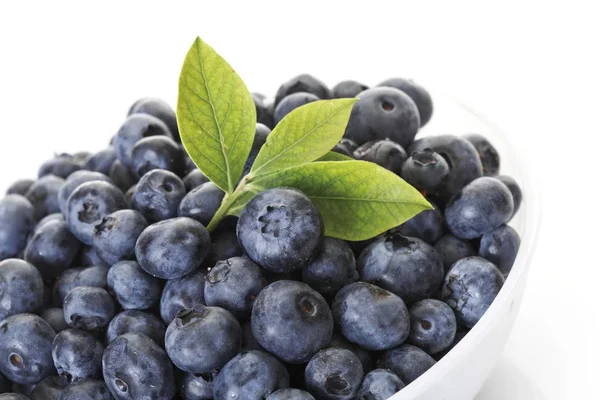 Blueberries Small Green Leaves Bowl — Stock Photo, Image