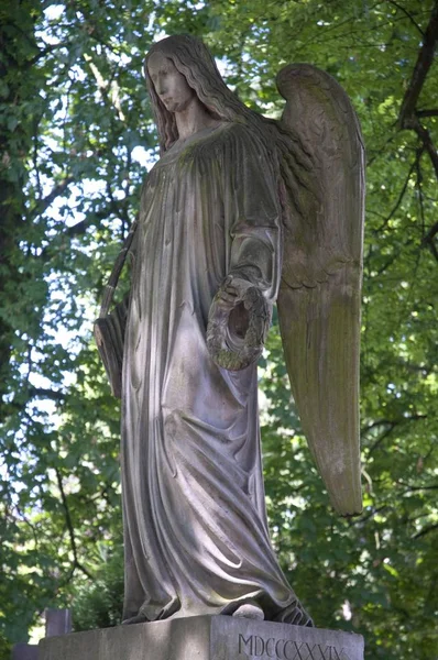 Ange Statue Cimetière Alter Friedhof Bonn Rhénanie Rhénanie Nord Westphalie — Photo