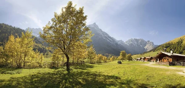 Glowing Autumnal Maple Tree Mountain Cabin Snow Covered Mountains Grosser — Stock Photo, Image