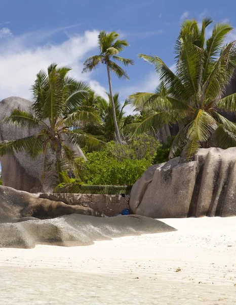 Falésias Granito Palmeiras Coco Cocos Nucifera Ilha Digue Seychelles África — Fotografia de Stock