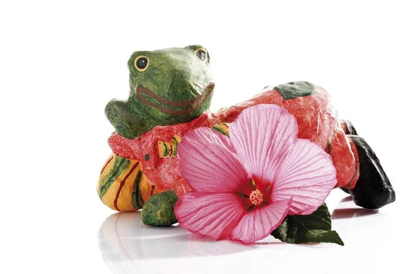 Figura Rana Decorativa Juguete Con Flor — Foto de Stock