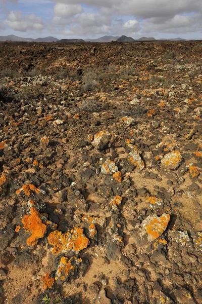 Campo Lava Frente Caldera Los Arrables Região Montanhosa Desabitada Malpais — Fotografia de Stock