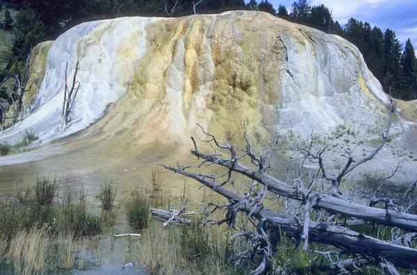 Pomarańczowy Wiosna Kopiec Mammoth Hot Springs Park Narodowy Yellowstone Stany — Zdjęcie stockowe