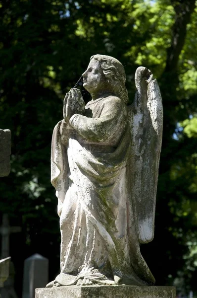 Anioł Statua Alter Friedhof Cmentarz Bonn Nadrenii Nadrenia Północna Westfalia — Zdjęcie stockowe