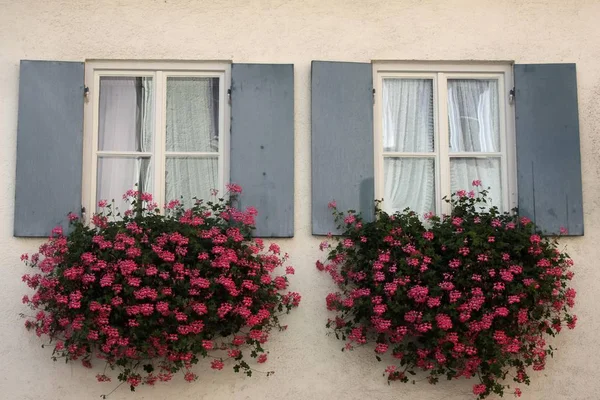 Fönster Med Blomlådor — Stockfoto