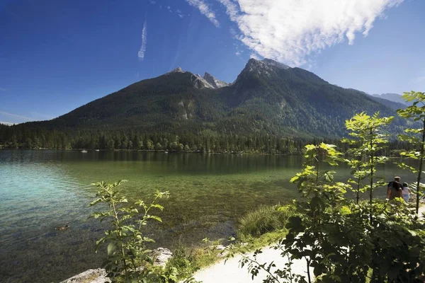 Hintersee Sjön Tittar Mot Hochkalter Mountain Berchtesgardener Alperna Bayern Tyskland — Stockfoto