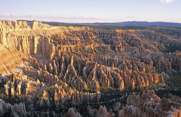 Bryce Punkt Nationalparken Bryce Canyon Utah Usa Amerika Nordamerika — Stockfoto