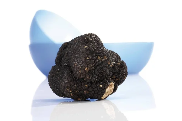 Black Truffle White Background — Stock Photo, Image