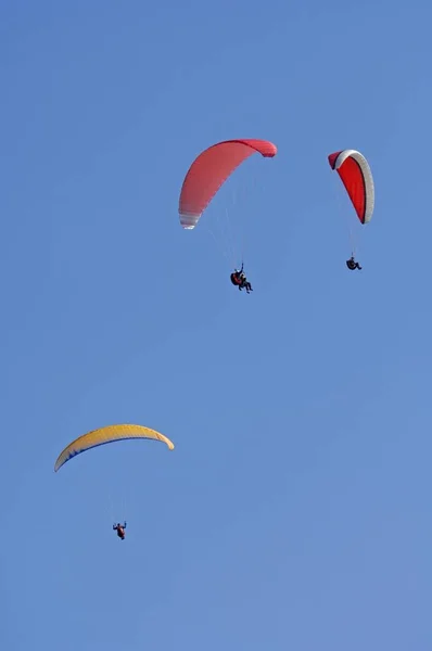 Paragliders Heldere Hemel — Stockfoto