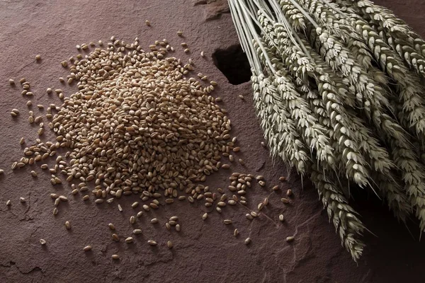 Пшеничные Зерна Тритикун Каменной Поверхности — стоковое фото