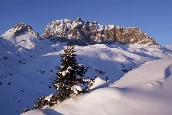 Rote Wand Lechquellengebirge Lechquellen Vorarlberg Österreich Europa — Stockfoto