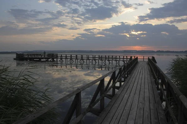 Federsee Jezioro Pojezierze Federsee Rezerwat Przyrody Powiecie Landkreis Biberach Górnej — Zdjęcie stockowe