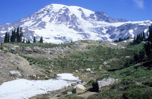 Mount Rainier Washington Estados Unidos América Del Norte — Foto de Stock