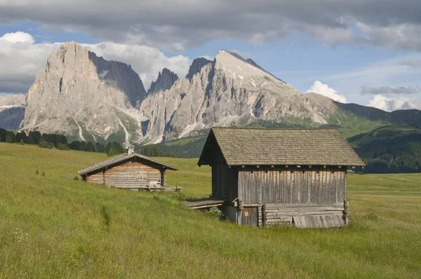 Almen Vor Dem Plattkofel Und Sassolungo Seiser Alm Dolomiten Südtirol — Stockfoto