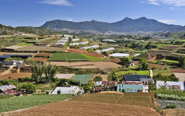 Terraços Estufas Área Agrícola Dalat Vietnã Ásia — Fotografia de Stock