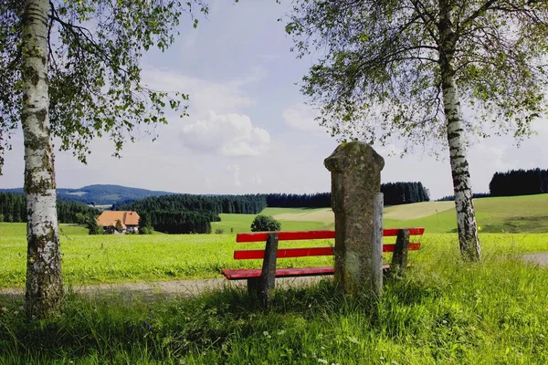 Furtwangen 附近的风景在黑森林 巴登符腾堡州 — 图库照片