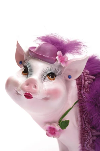 Sparschwein Lila Kostüm — Stockfoto