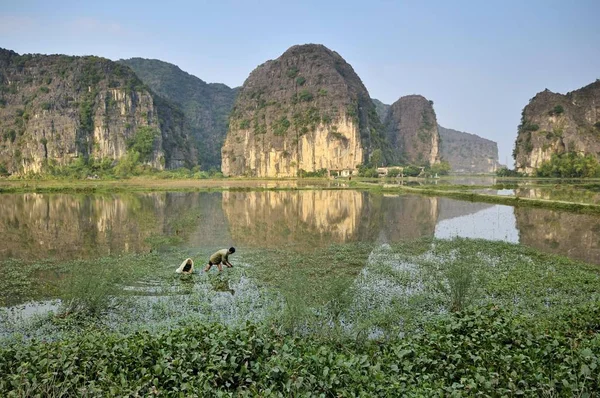 Region Tam Coc Pobliżu Ninh Binh Sucha Zatoka Halong Wietnam — Zdjęcie stockowe