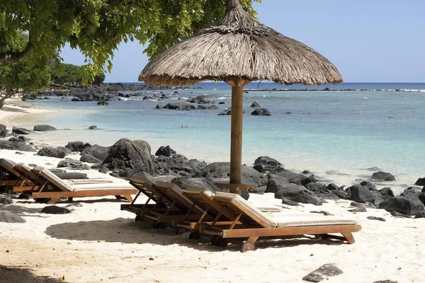 Пляж Солнцезащитными Креслами Скальном Пляже Альбион Маврикий Африка — стоковое фото
