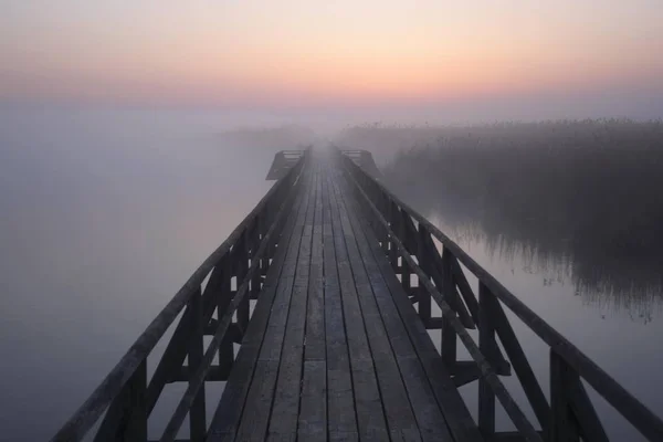 Вид Jetty Перед Сходом Сонця Природний Заповідник Поблизу Bad Buchau — стокове фото