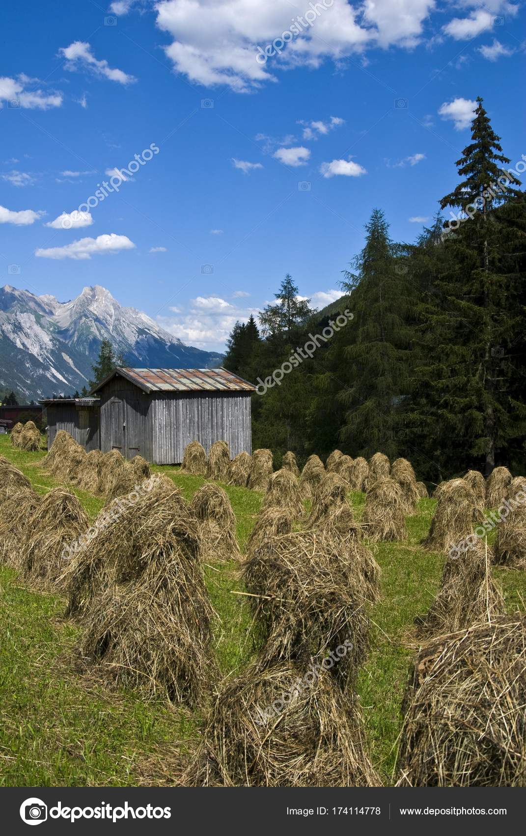 Drying Hay Hay Barn Freispitze Back Pettnau Arlberg Tyrol Austria