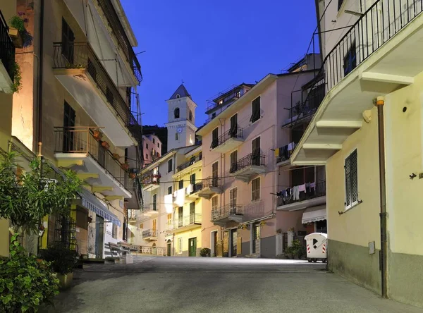 Aleja Miejscowości Manarola Liguria Cinque Terre Włochy Europa — Zdjęcie stockowe