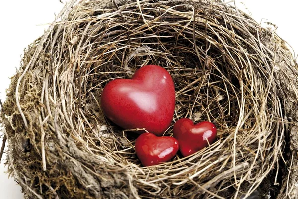 Corações Vermelhos Ninho — Fotografia de Stock