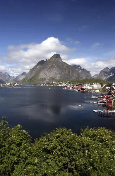 Reine Lofoten Norwegia Skandynawia Europa — Zdjęcie stockowe