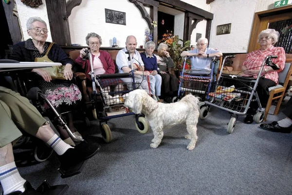 Κάτοικοι Που Επισκέπτονται Σκύλο Γηροκομείο — Φωτογραφία Αρχείου