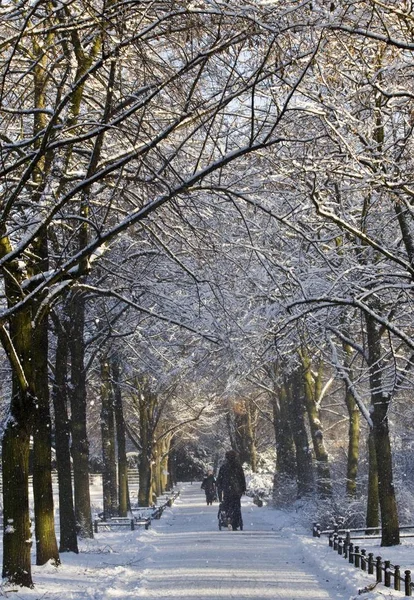 Person Die Winterlichen Park Spazieren Geht — Stockfoto