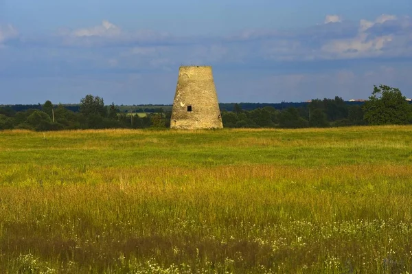 Kwiat Meadow Oraz Old Mill Pobliżu Saka Estonia Kraje Bałtyckie — Zdjęcie stockowe