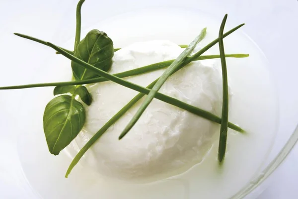 Mozzarella Servita Con Erba Cipollina Basilico — Foto Stock