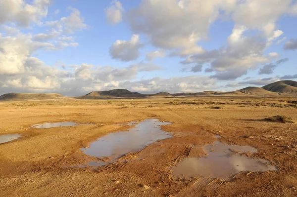Puddles Rainfall Cotillo Fuerteventura Canary Islands Spain Europe — Stock Photo, Image