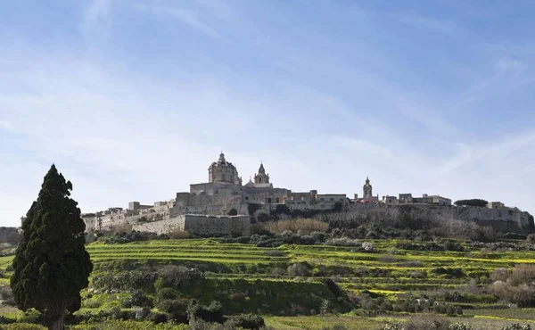 Mdinas Katedral Byggd Arabian Stiftelser Mdina Malta Europa — Stockfoto