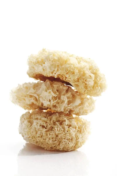 Stacked Sparassis Cauliflower Mushrooms — Stock Photo, Image