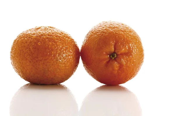 Két Klementin Citrus Aurantium Elszigetelt Fehér Background — Stock Fotó
