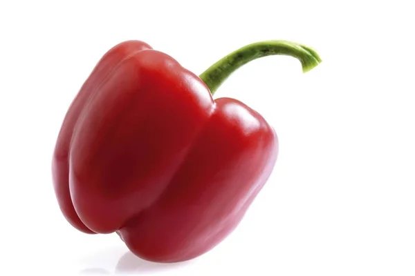 Red Bell Pepper White Background — Stock Photo, Image