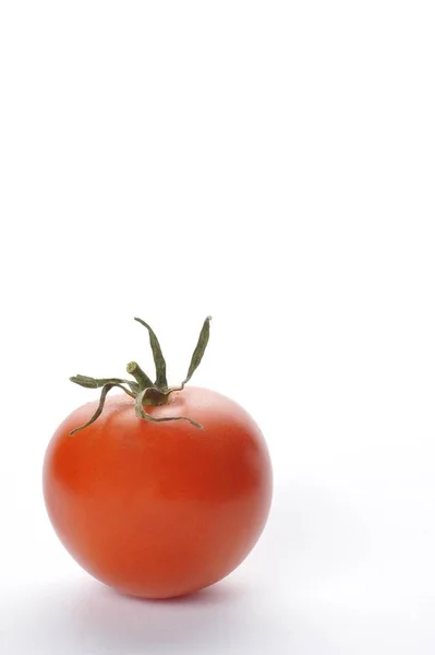 Tomate Fond Blanc — Photo