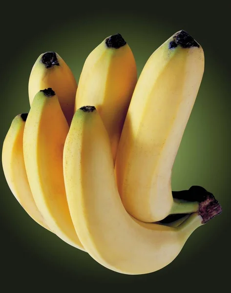 Bando Bananas Tropicais — Fotografia de Stock