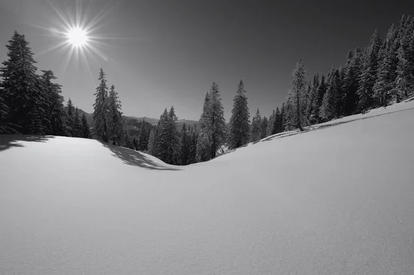 Vinter Skog Med Bergskedjan Motljus — Stockfoto