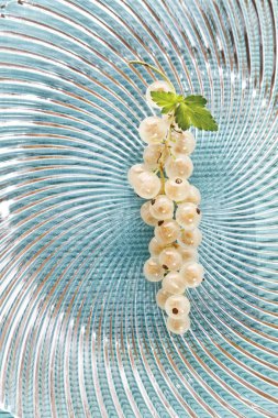 White currants with small leaves on a glass plate clipart