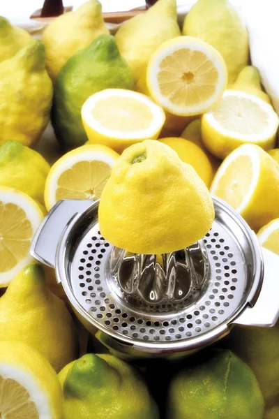Bio Citrony Citron Ždímací — Stock fotografie