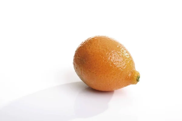 Kumquat Uit Israël Witte Achtergrond — Stockfoto