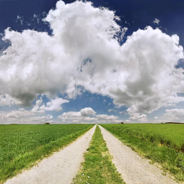 Pista Meio Campos Cevada Trigo Com Céu Nublado — Fotografia de Stock