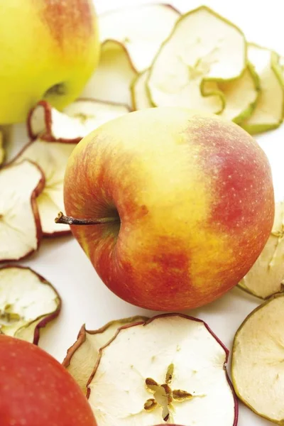 Fresh Apples Dried Slices — Stock Photo, Image