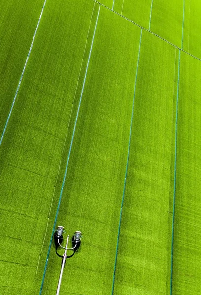 Farola Frente Andamios Cubiertos Por Lona Verde Berlín Alemania Europa — Foto de Stock